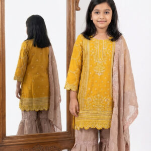 Baby Gharara Dress