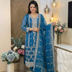 Organza Fabrics Ready dress